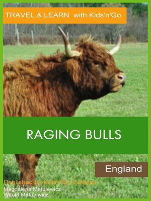 cover image of Raging Bulls